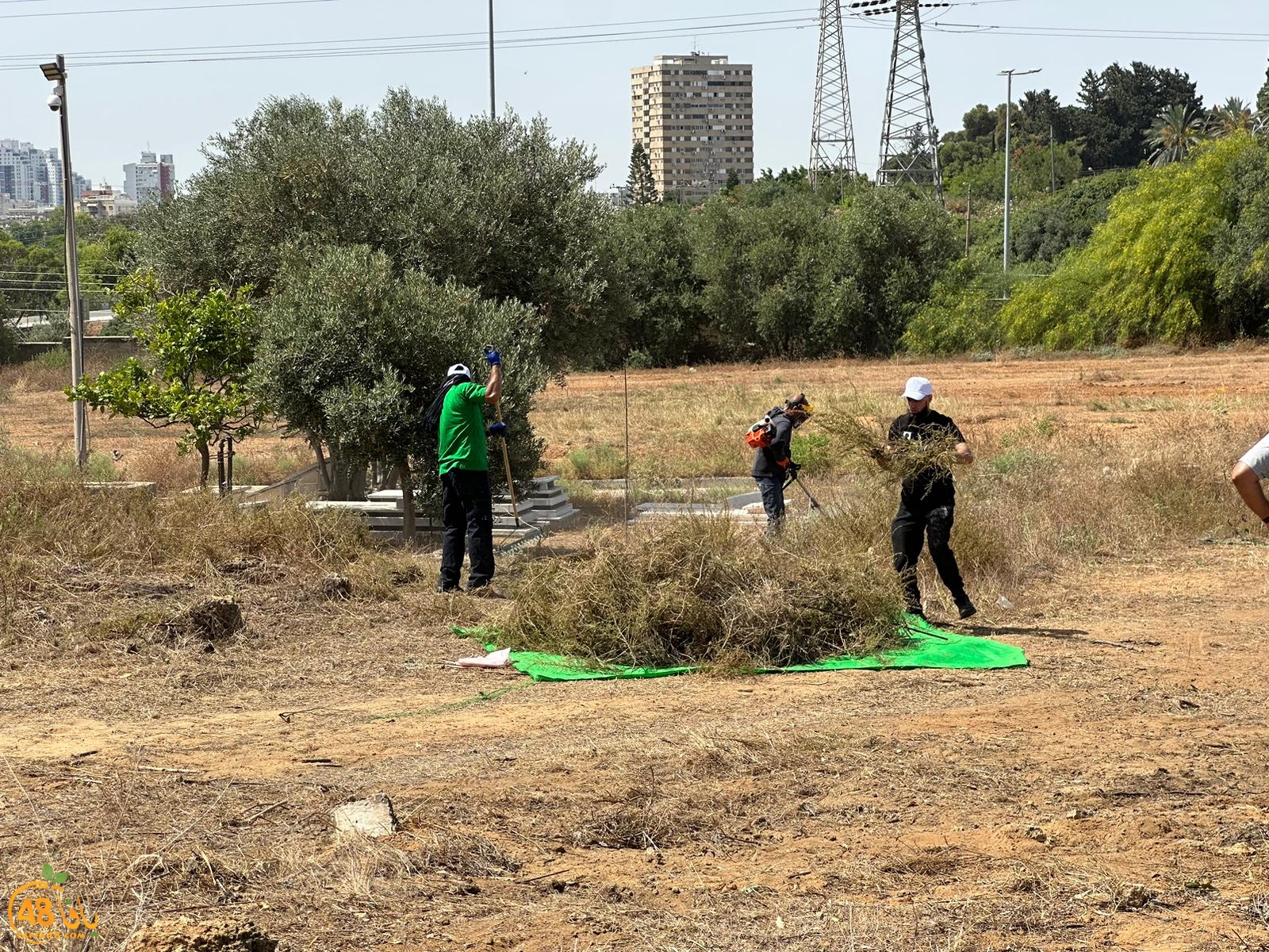 WhatsApp Image 2023-06-17 at 3.39.03 PM (3).jpeg